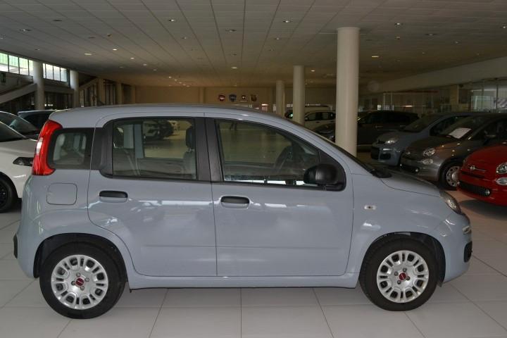 FIAT PANDA 1.0 70cv HYBRID