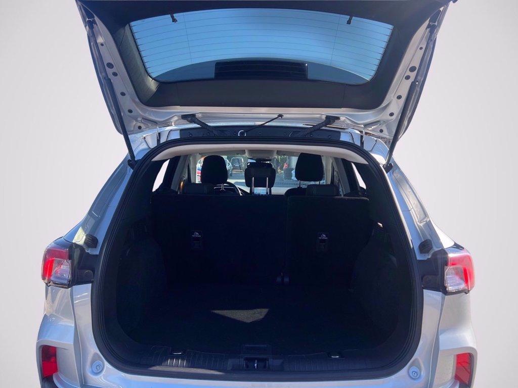 FORD Kuga 1.5 ecoblue Titanium 2wd 120cv auto del 2020
