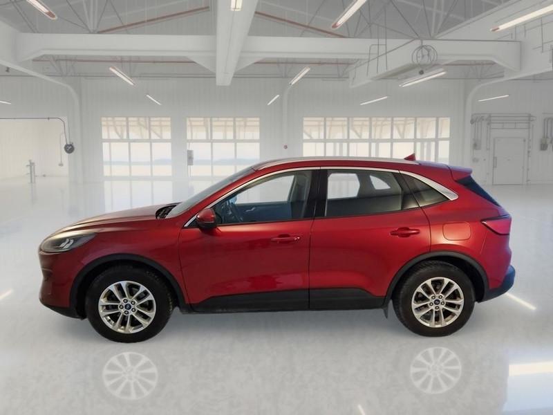 FORD KUGA 1.5 EcoBlue 120CV 2WD Titanium Business Auto