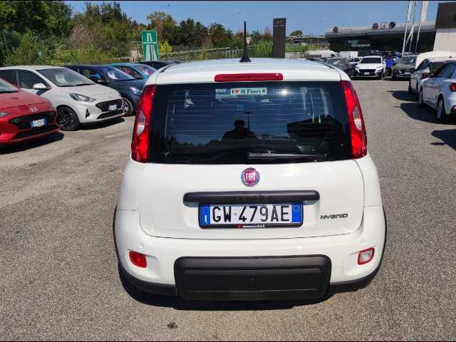 FIAT Panda 1.0 firefly hybrid s&s 70cv