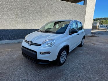 Fiat Panda 1.0 FireFly S&S Hybrid PREZZO REALE