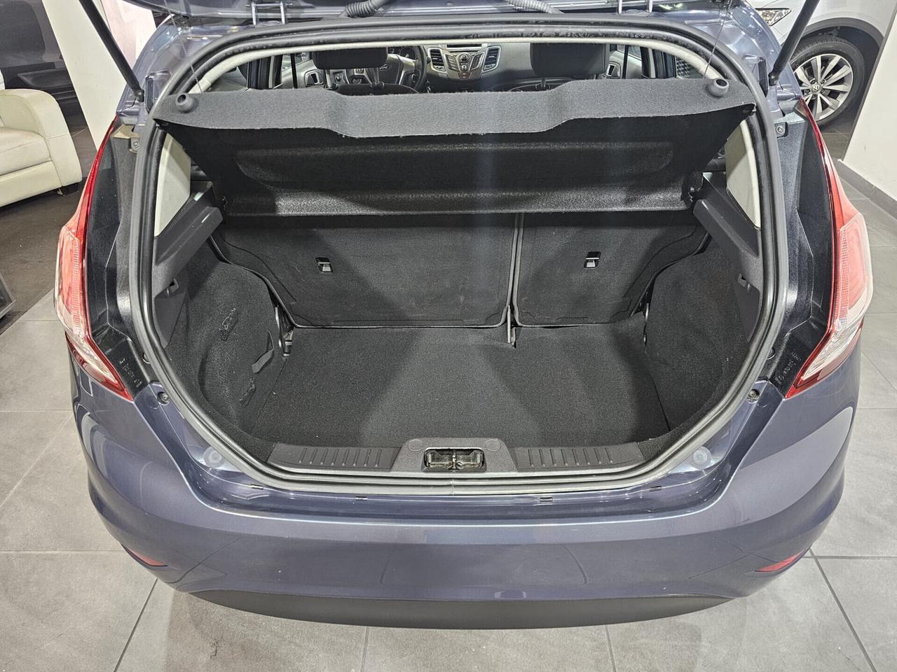 Ford Fiesta 1.5 TDCi 75CV 5 porte Titanium