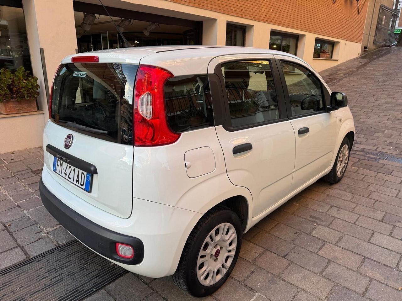 FIAT Panda 1.2 Easy UNICO PROPRIETARIO