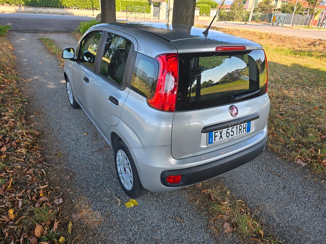Fiat Panda 1.2 5 posti Senza Vincoli Finanziari