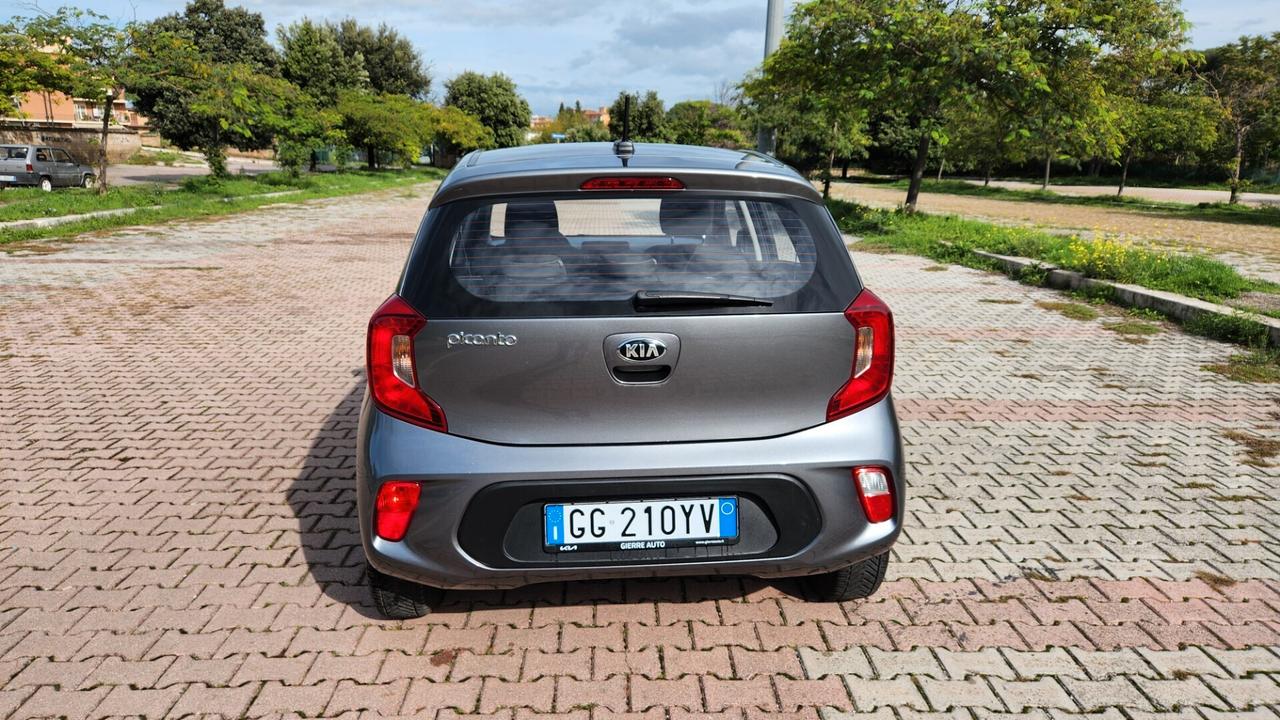 Kia Picanto 1.0 12V 5 porte Urban