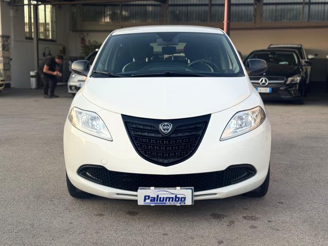 LANCIA Ypsilon 1.3 MJT 16V 95 CV 5 porte S&S Elefantino