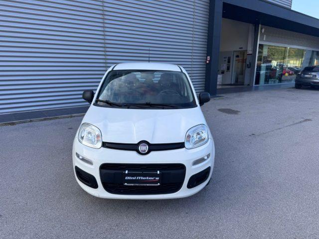 FIAT Panda 1.2 Benzina 4 cilindri OK NEOPATENTATI
