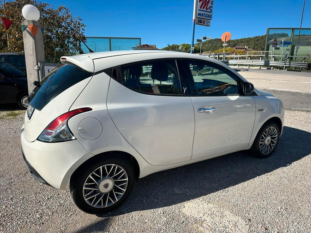 Lancia Ypsilon 5 Porte Ypsilon 1.3 mjt Gold s&s 95cv