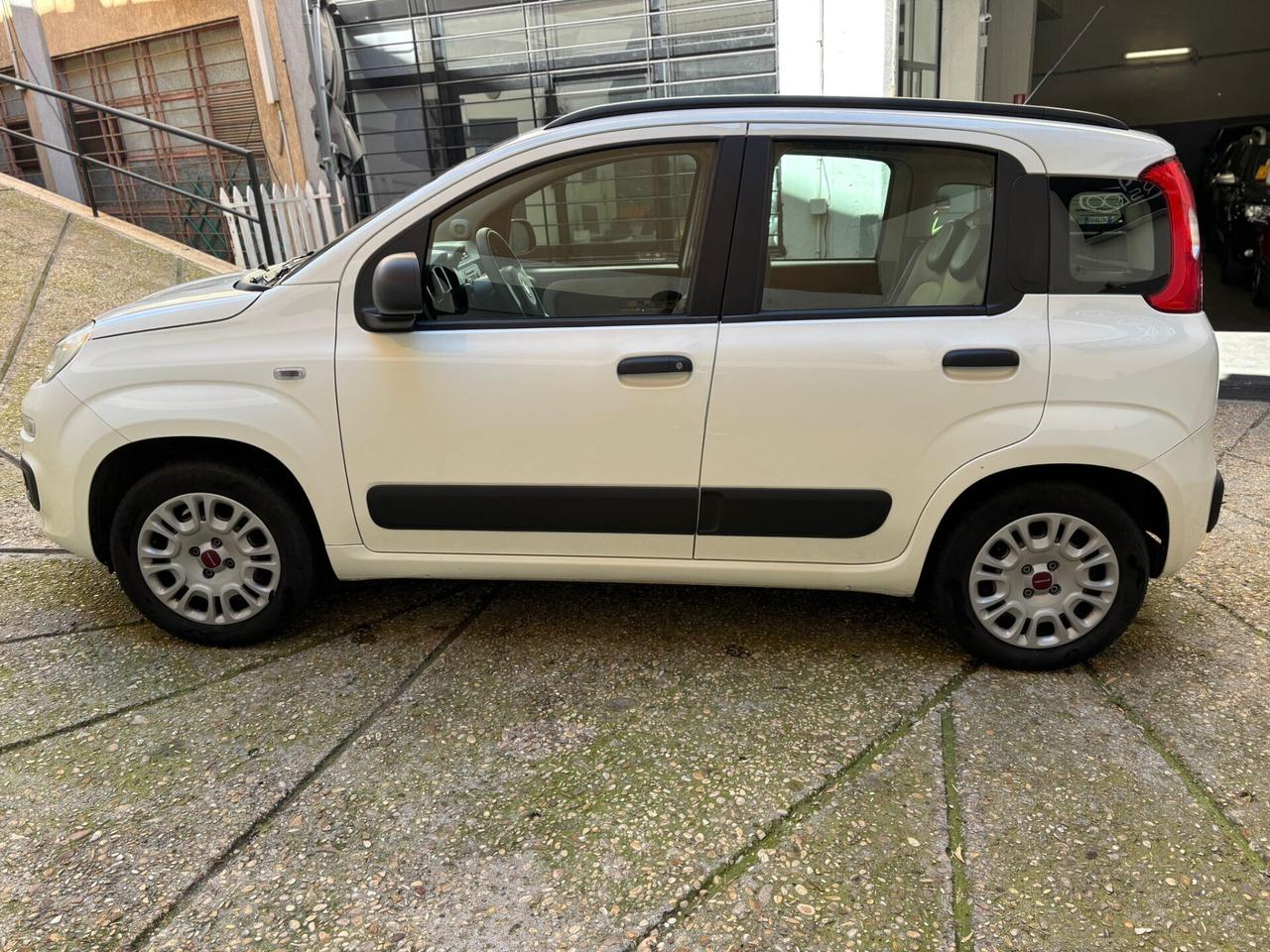 Fiat Panda 1.2 GARANZIA 12 MESI TAGLIANDO - UNIPRO