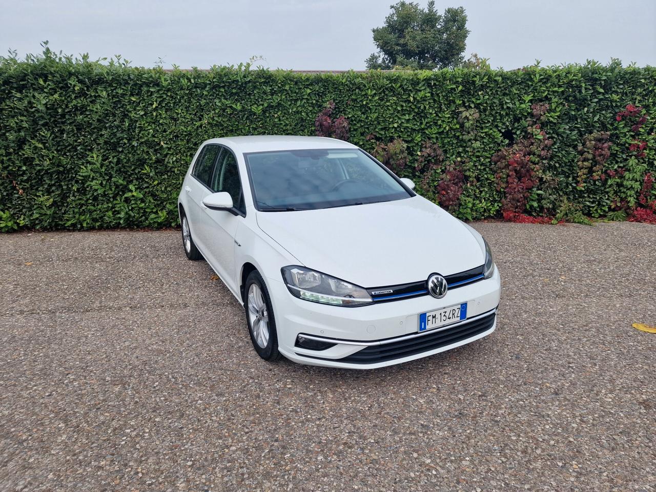 Volkswagen Golf 1.4 TGI 5p. Business BlueMotion