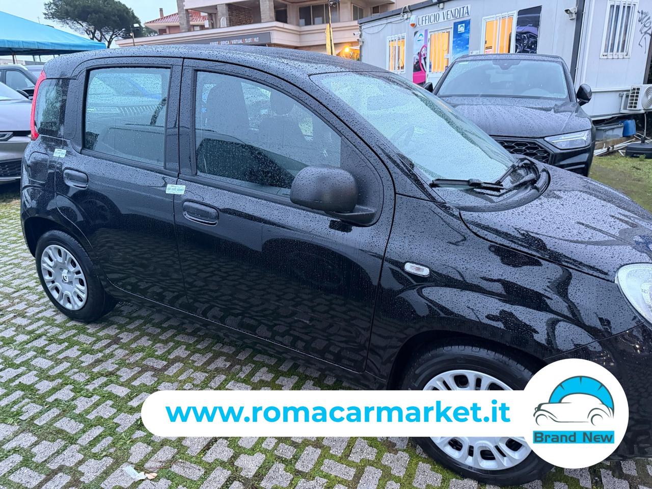 Fiat PANDA PANDINA 1.0 firefly hybrid Icon s&s 70cv PREZZO REALE NO VINCOLI