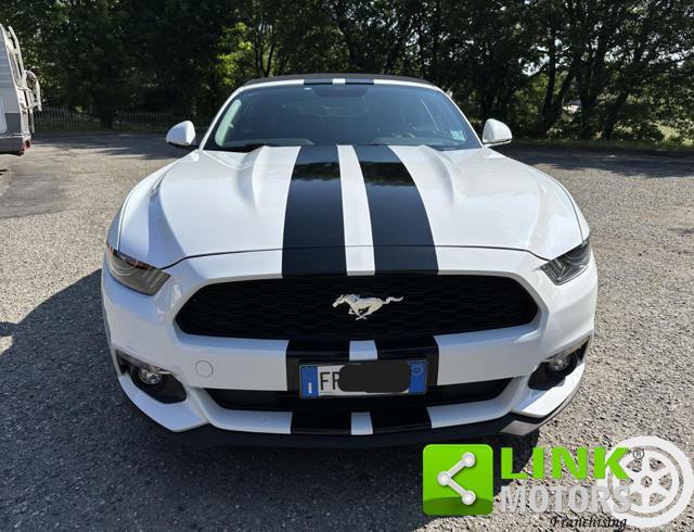 FORD Mustang Convertible 2.3 GTDi EcoBoost 317 CV SelectShift