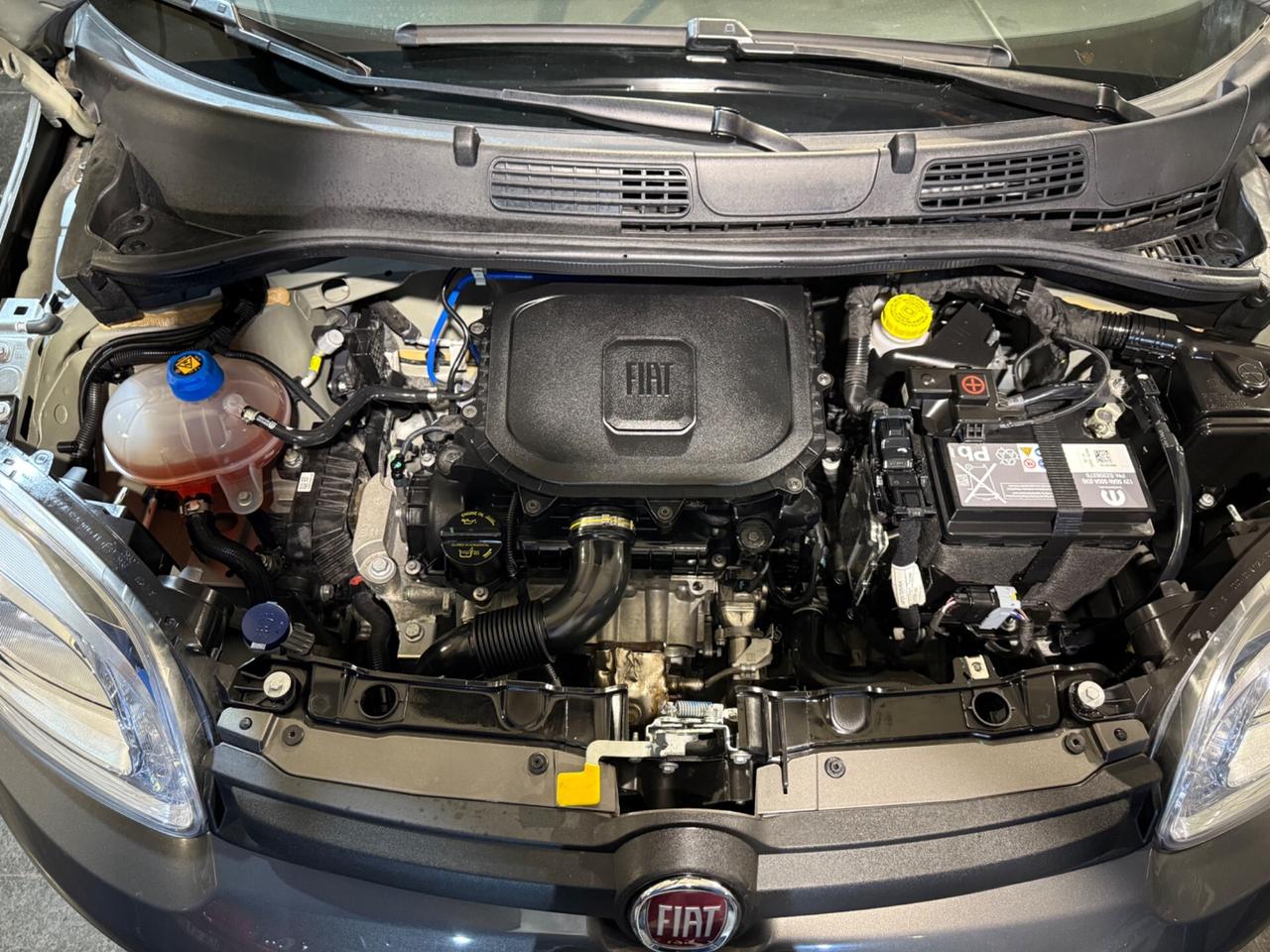 Fiat Panda 1.0 ybrida