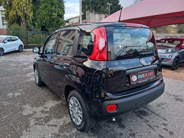 FIAT Panda 1.0 FireFly S&S Hybrid Icon