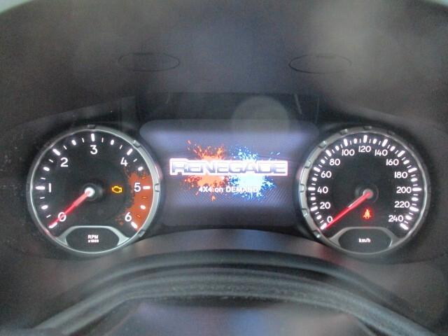 Jeep Renegade 2.0 Mjt 170CV 4WD Active Drive Low Trailhawk