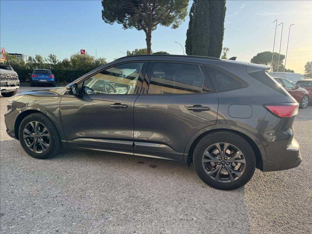 FORD Kuga 1.5 ecoblue ST-Line 2wd 120cv del 2020