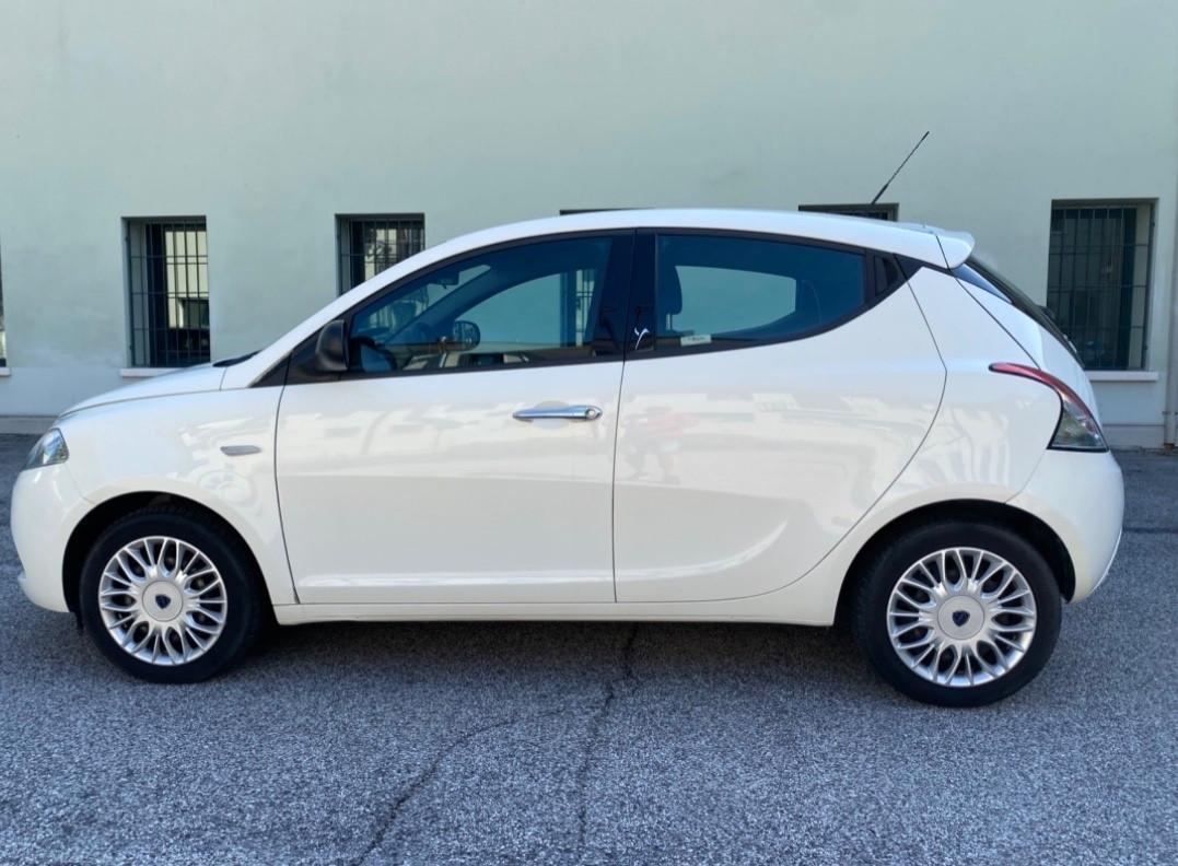 Lancia Ypsilon 1.3 MJT 16V 95 CV 5 porte Platinum
