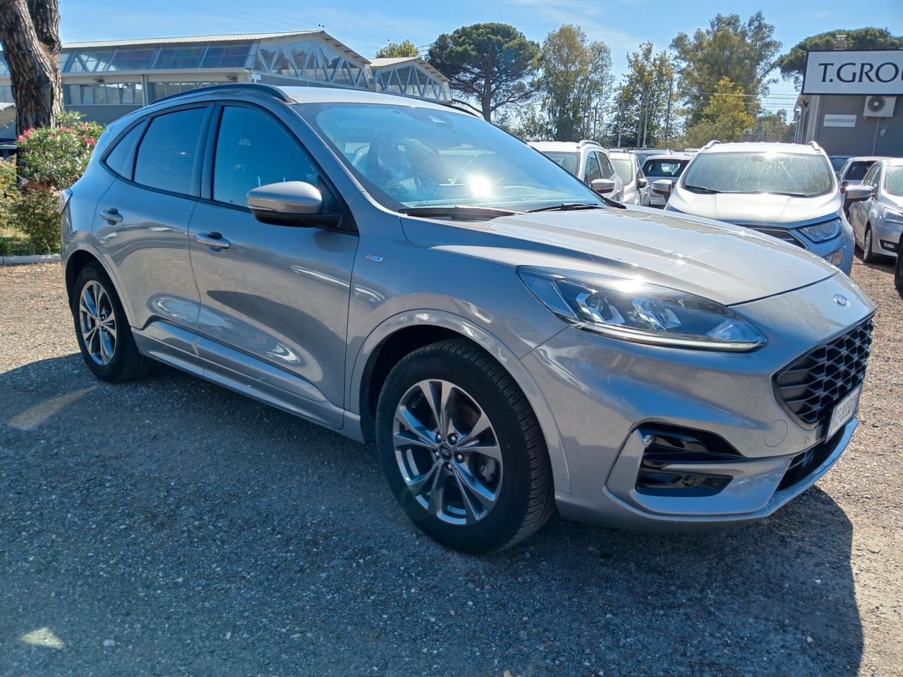 Ford Kuga 1.5 EcoBlue 120 CV aut. 2WD ST-Line X