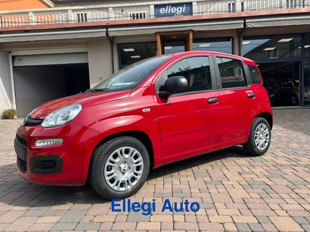 FIAT Pandina PROMO FINANZIAM 1.0 FireFly 65 CV Hybrid Pop KM 0