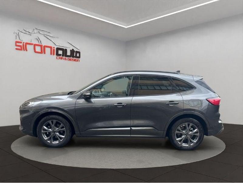 Ford Kuga Kuga 2.0 ecoblue ST-Line 2wd 120cv auto