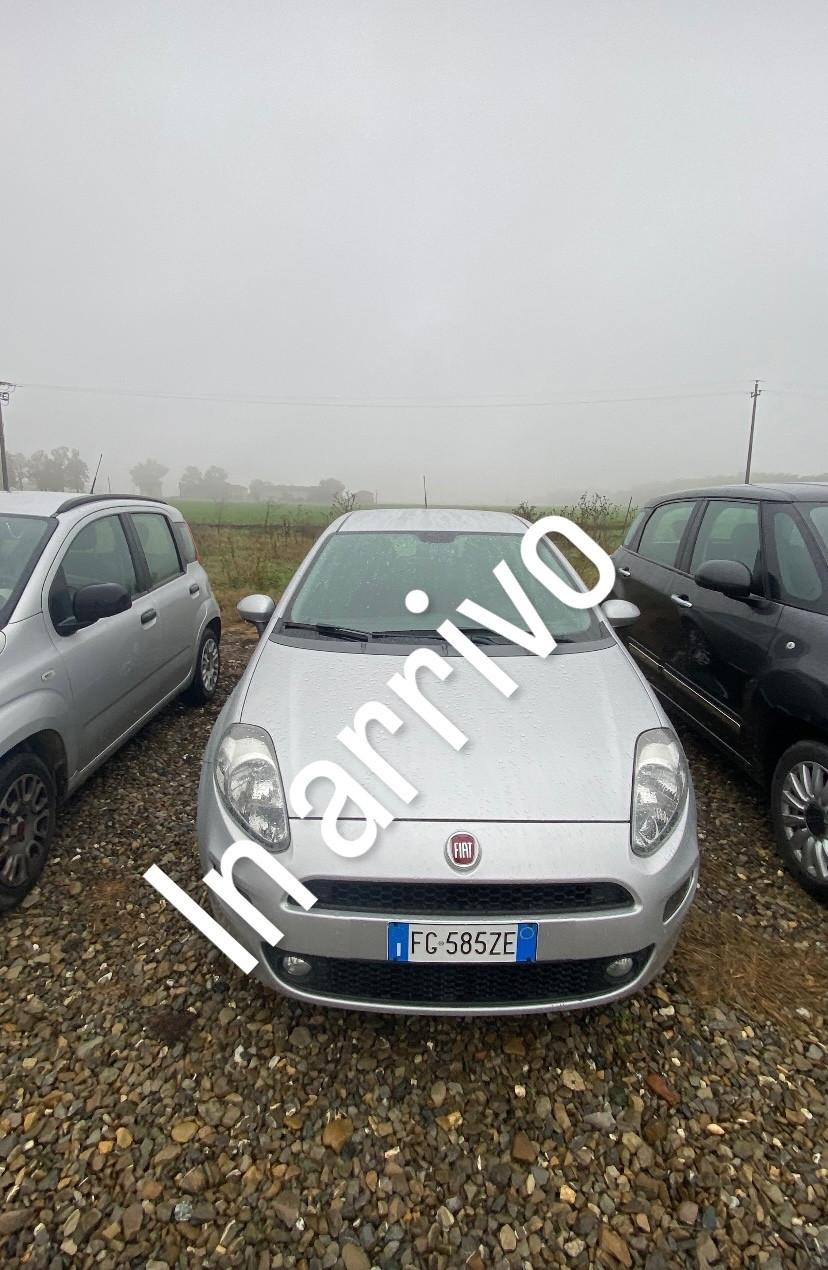 Fiat Punto 1.3 MJT II S&S 95 CV 5 porte Street