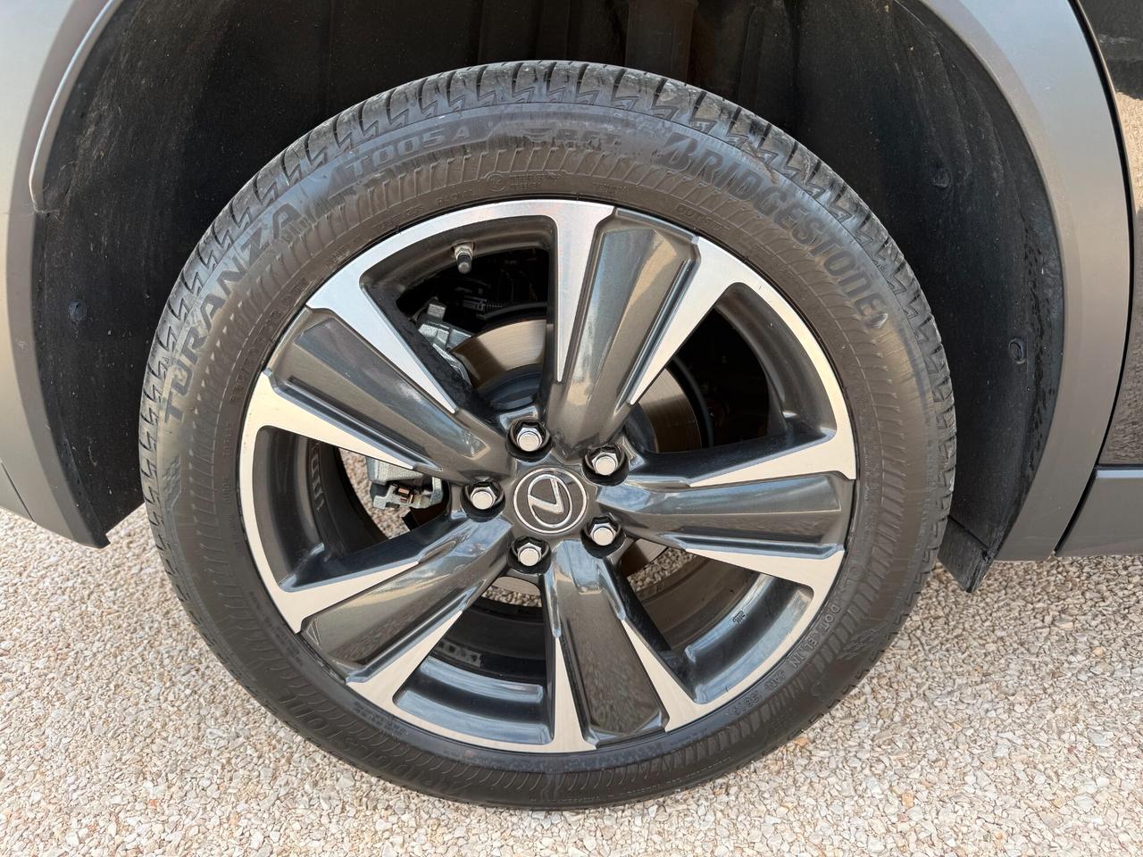 Lexus UX UX250H Hybrid Premium 184cv 2.0 2wd cvt my20