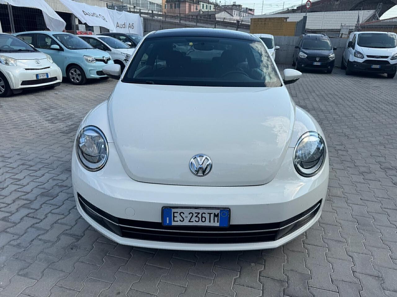 VW MAGGIOLINO 1.6 TDI 105 CV