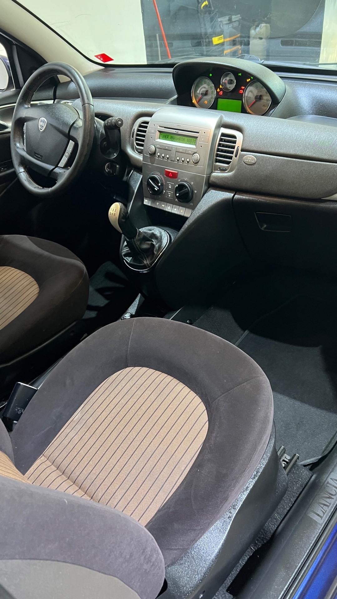 Lancia Ypsilon Platino tetto