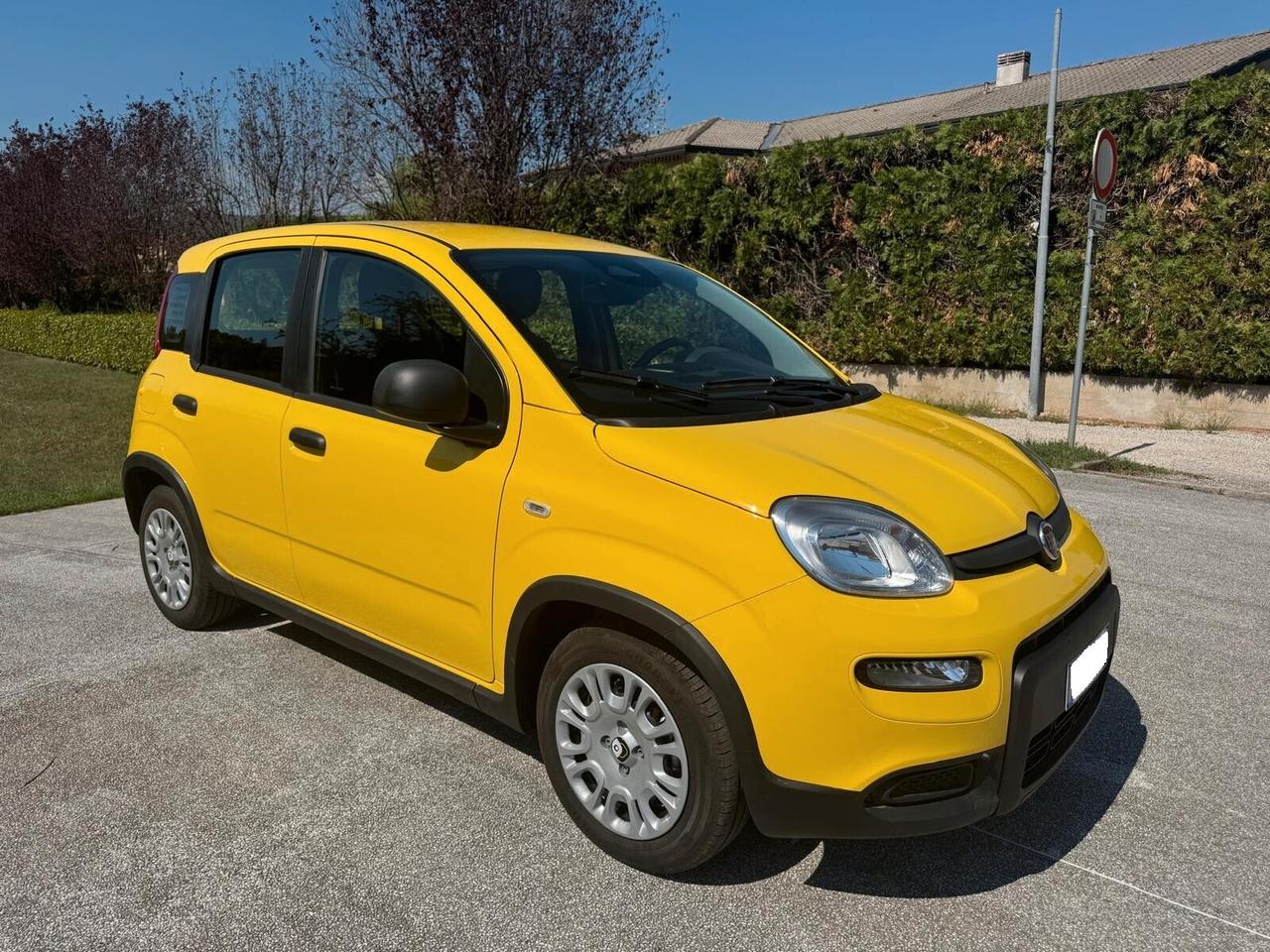 Fiat Panda 1.0 FireFly S&S Hybrid Pandina- 1.516 KM – 2024