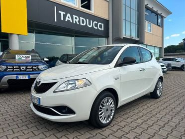 Lancia Ypsilon Ypsilon 1.3 MJT 16V 95 CV 5 porte S&S Silver