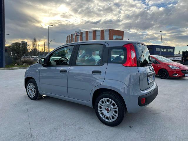 FIAT Panda 1.2 Easy 69cv OK NEOPATENTATO