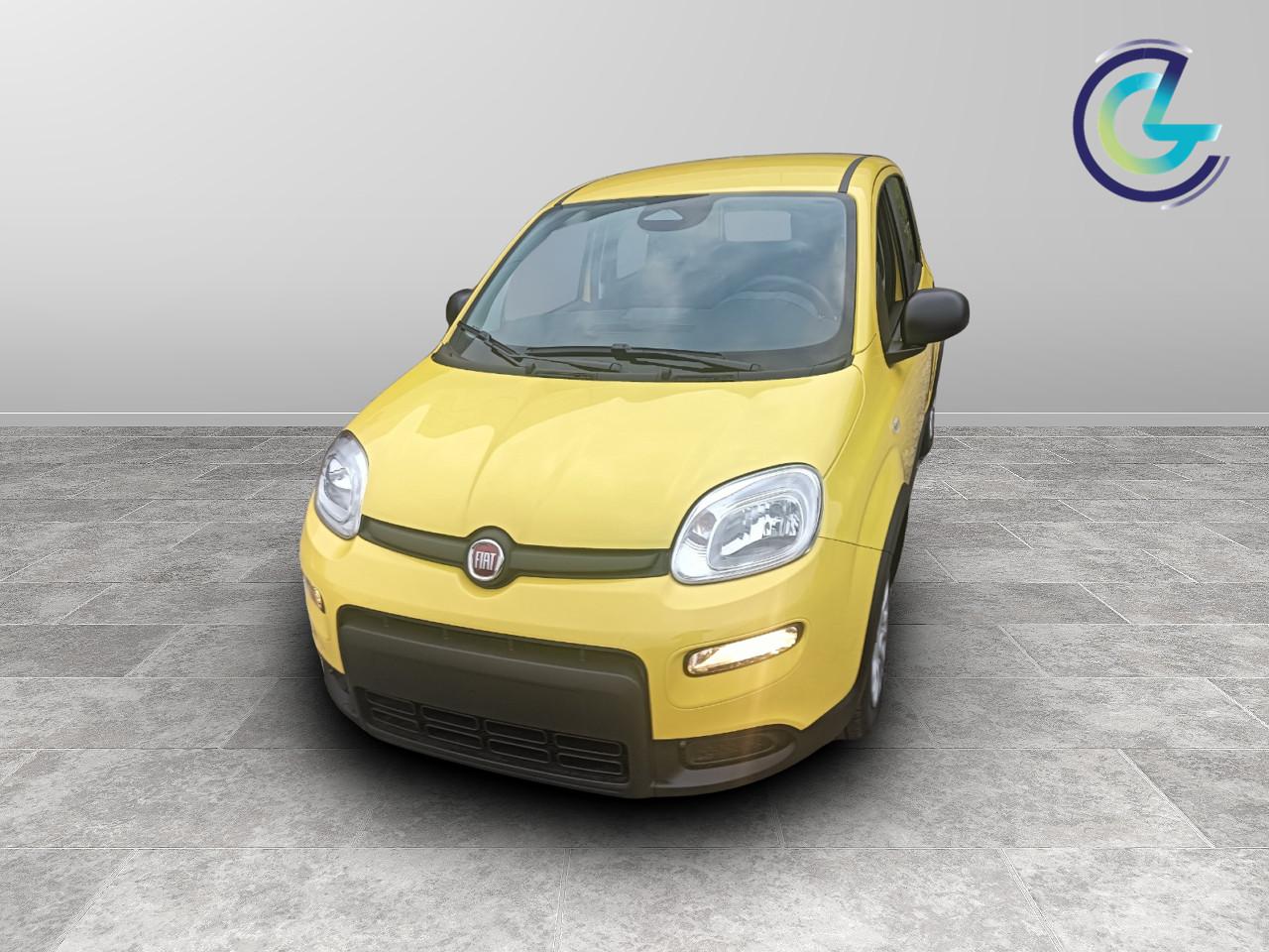 FIAT Panda III 2024 - Panda 1.0 firefly hybrid s&s 70cv