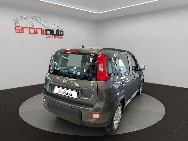 FIAT Panda Panda 1.0 firefly hybrid s&s 70cv 5p.ti - PROMO SIRONIAUTO+