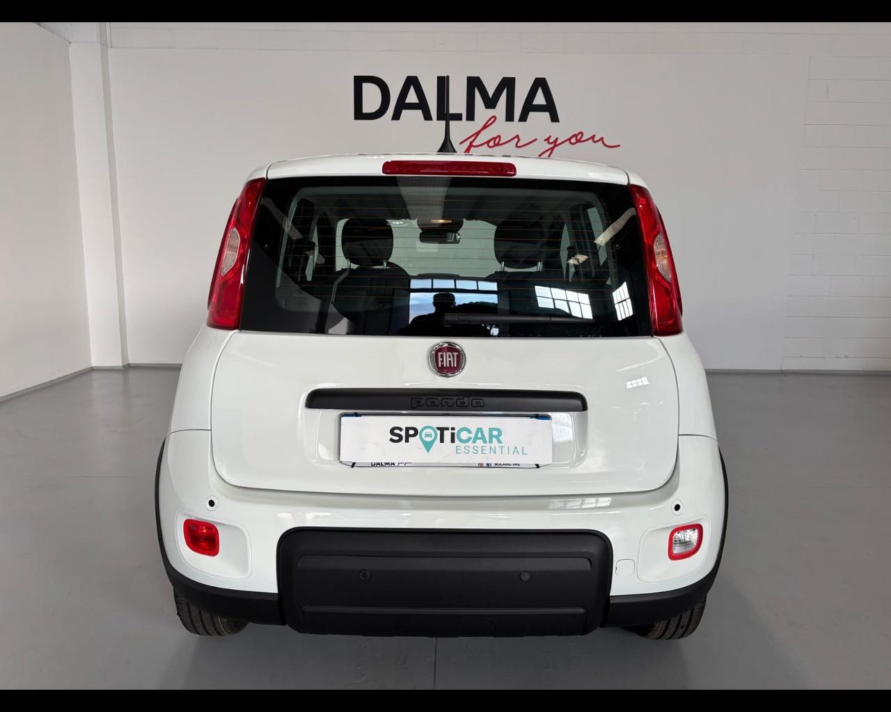 FIAT Pandina III 2024 - Pandina 1.0 firefly hybrid Pop s&s 70cv