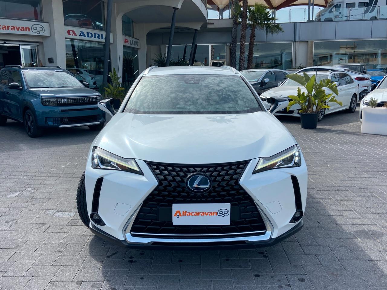 Lexus UX 250h 2.0 Business 2wd 184 CV cvt