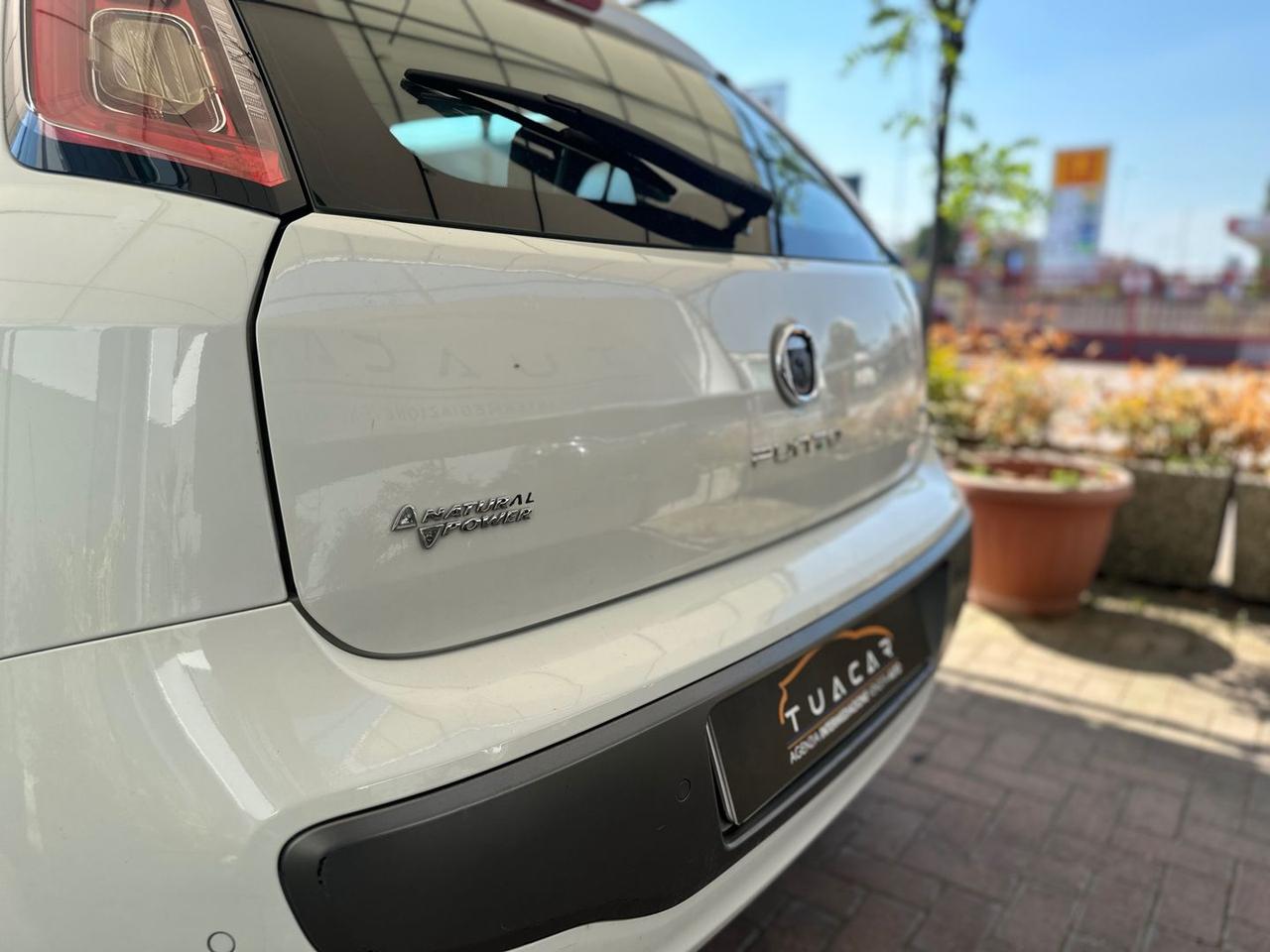 Fiat Punto Active 1.4 Natural Power #6526