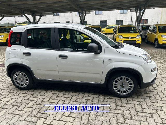 FIAT Panda PROMO FINANZ 1.0 HYBRID 5 POSTI +PACK CITY KM 0