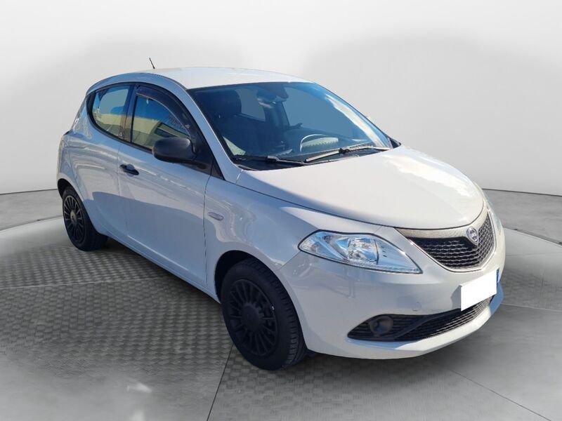 Lancia Ypsilon Ypsilon 1.2 69 CV 5 porte Elefantino