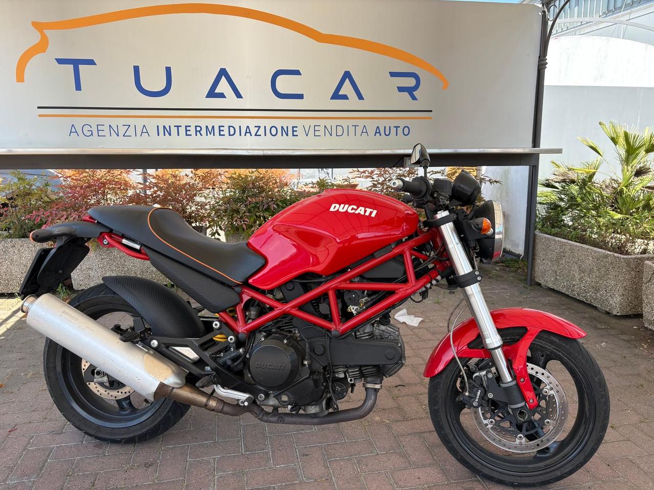 Ducati Monster 695 695 #23