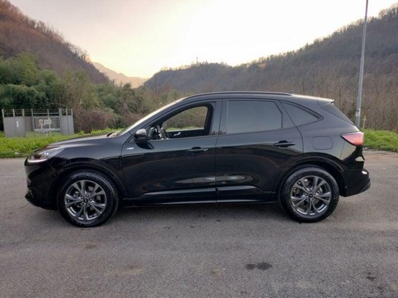 Ford Kuga Kuga 2.0 EcoBlue 120 CV aut. 2WD ST-Line