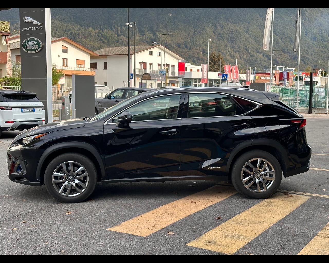 LEXUS NX 1ª serie NX Hybrid 4WD Executive