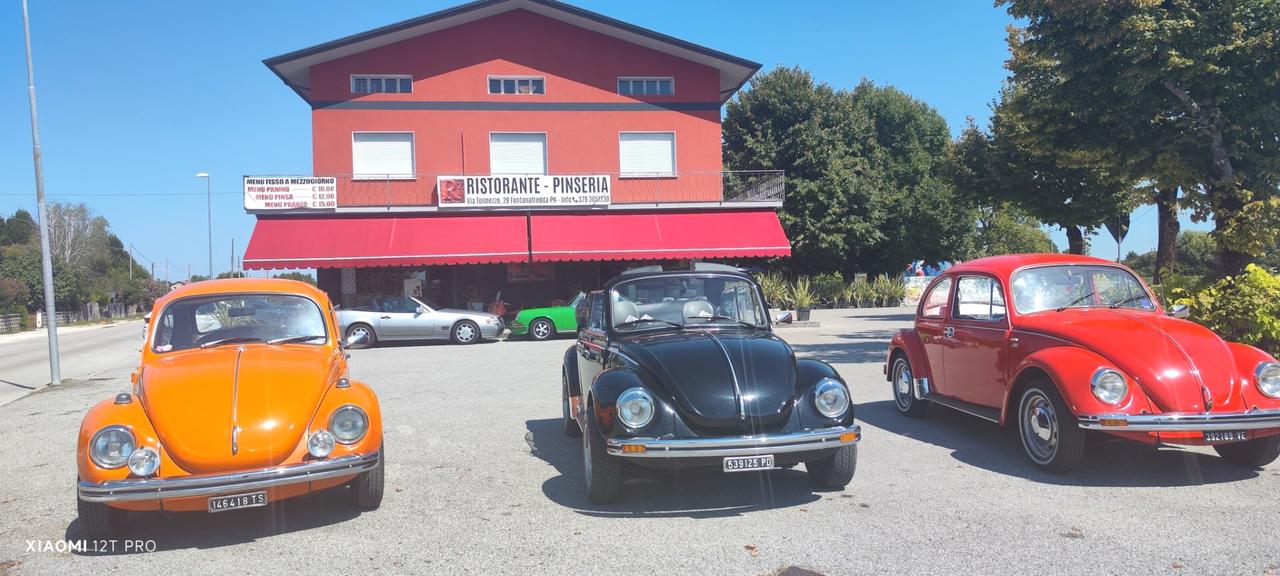 Volkswagen Maggiolino CABRIO o COUPE'