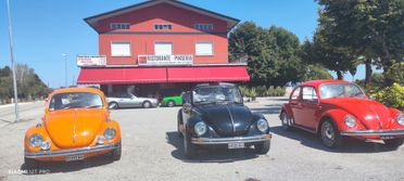 Volkswagen Maggiolino CABRIO o COUPE'