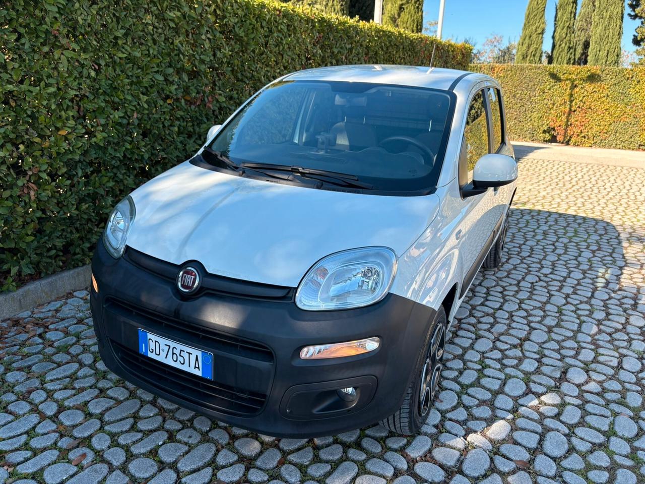 FIAT Panda 0.9Turbo S&S 4x4 Eld Pop N1 Van -2021