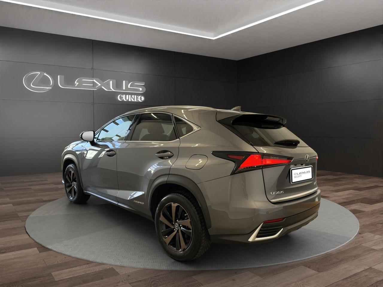 Lexus NX 300h 2.5 Premium 4wd cvt