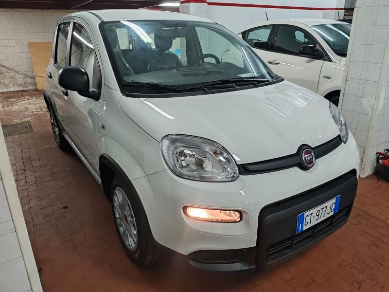 Fiat Panda 1.0 firefly hybrid s&s 70cv NEW LIFE