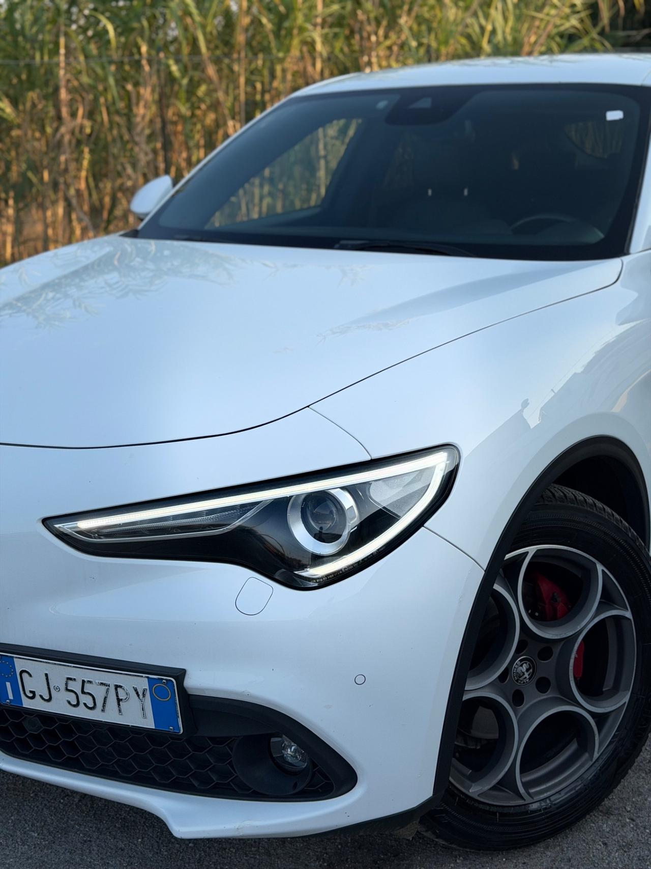 Alfa Romeo Stelvio 2.2 Turbodiesel 160 CV AT8 RWD Sprint