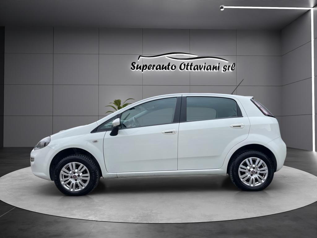 Fiat Punto 5 Porte Punto 5p 1.4 natural power Easy 70cv