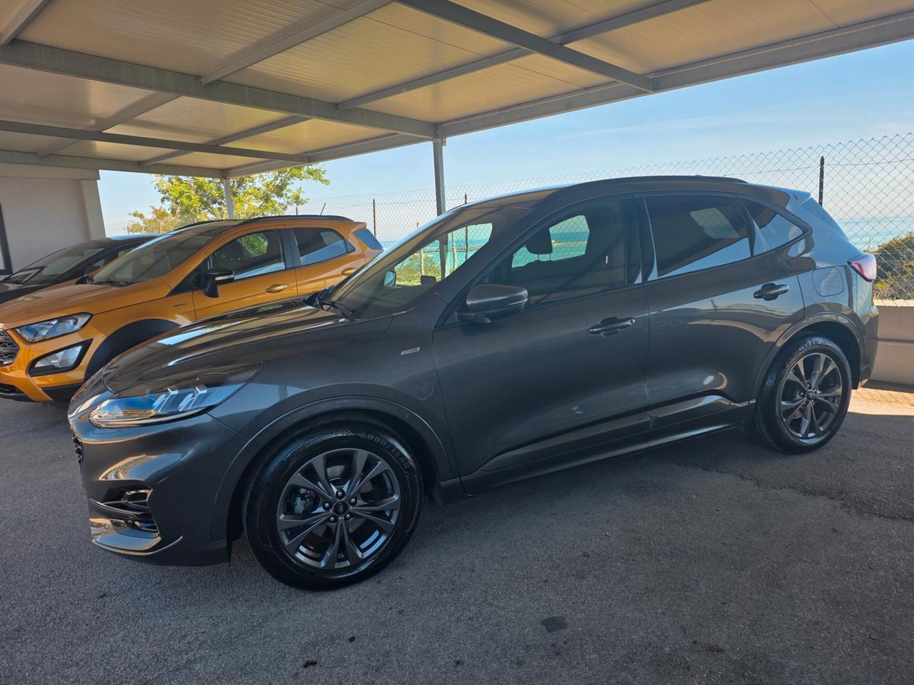Ford Kuga 1.5 EcoBlue 120 CV 2WD ST-Line X