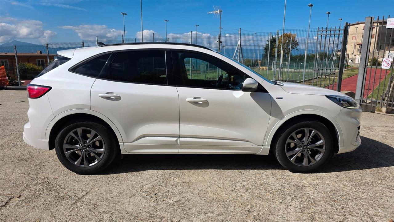 Ford Kuga 1.5 EcoBlue 120 CV aut. 2WD ST-Line X